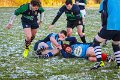 Monaghan Legends V Perennials (15)